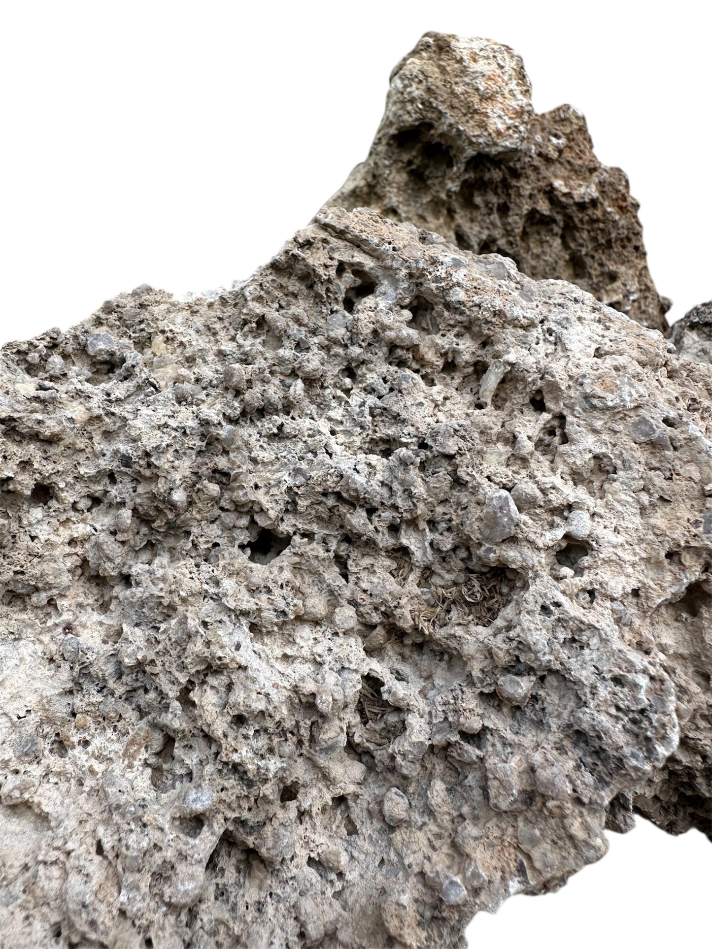 Lace Rock
