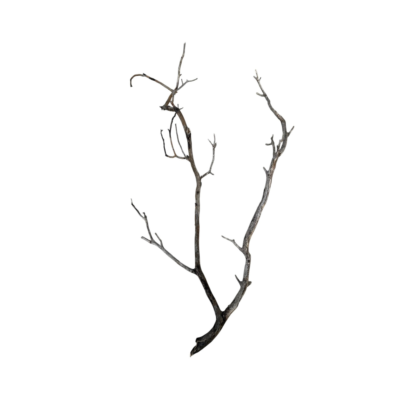 Manzanita wood