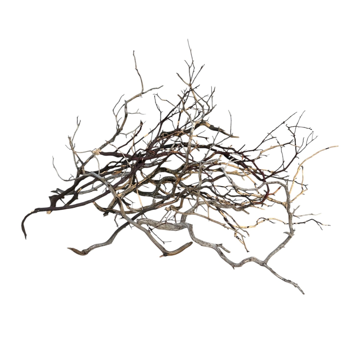 Manzanita wood