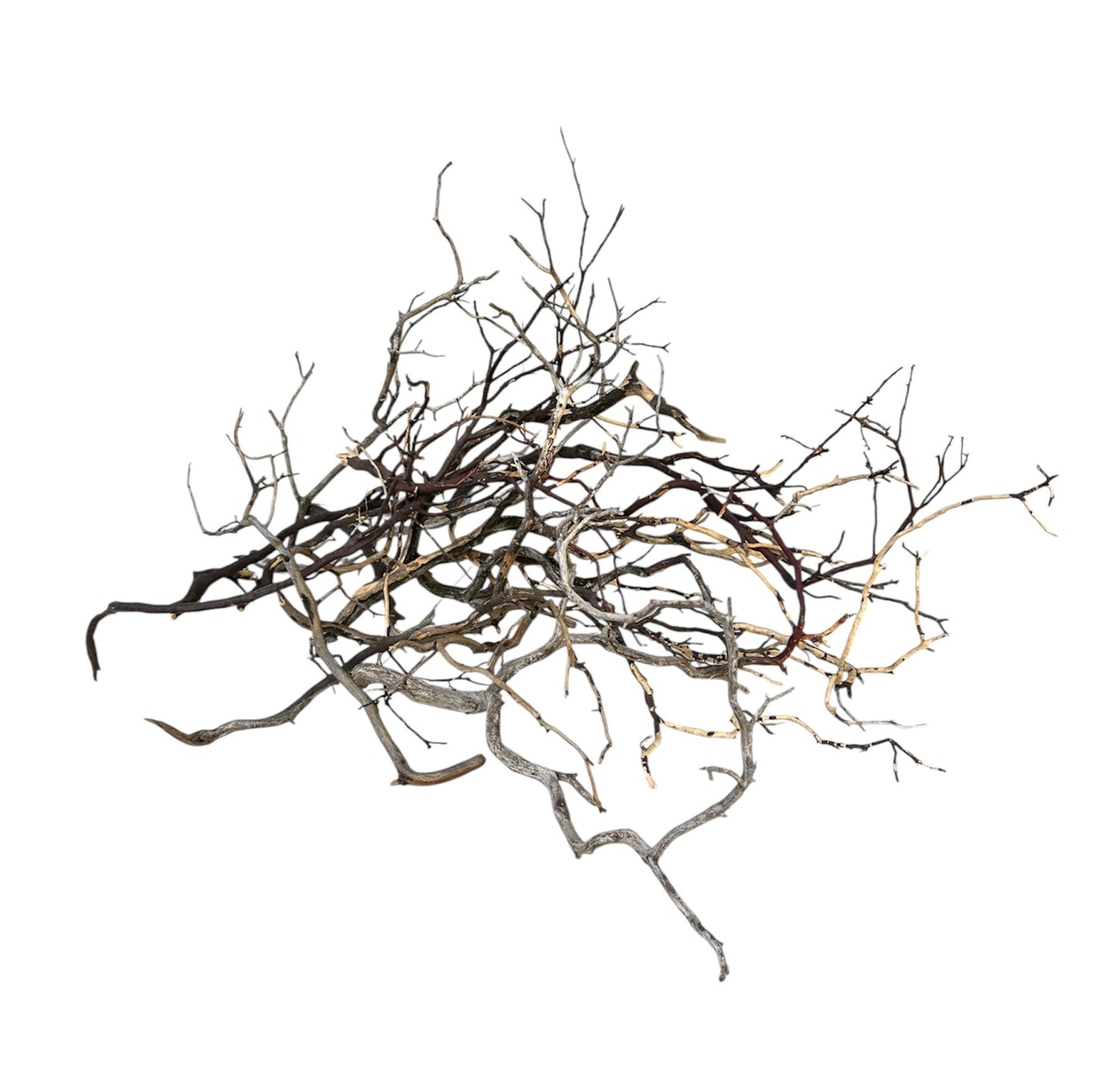 Manzanita wood