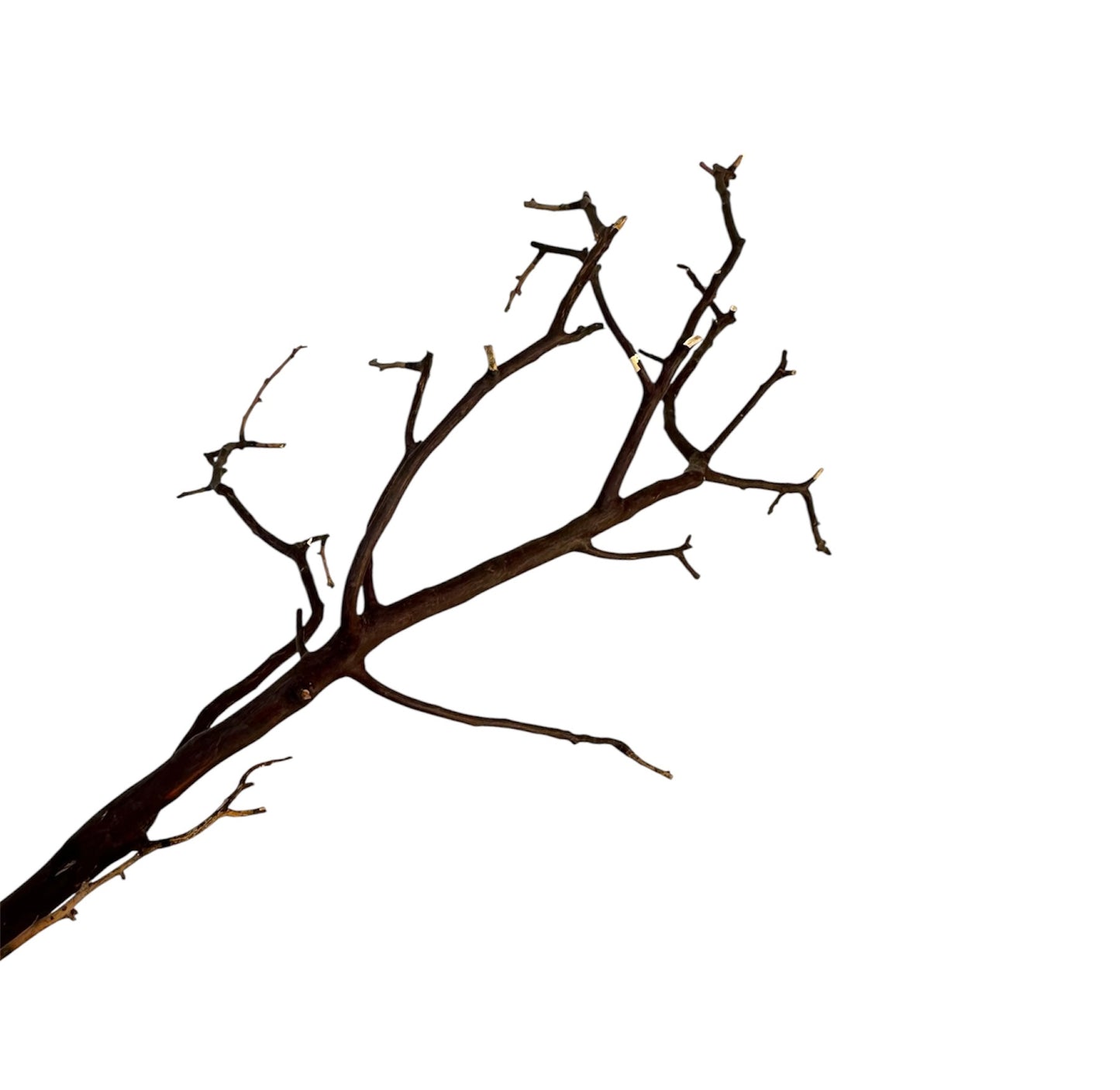 Manzanita wood
