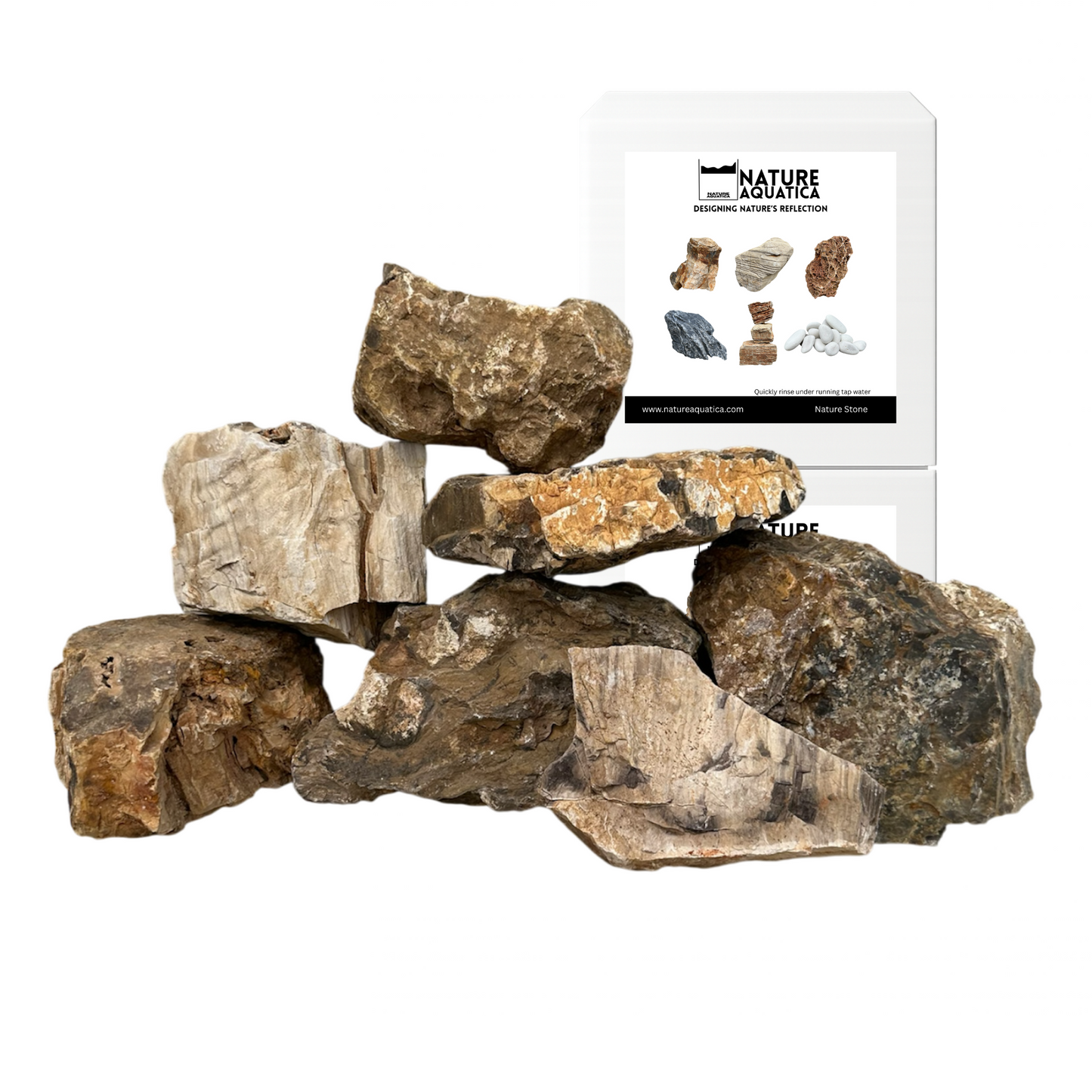 Petrified wood stone
